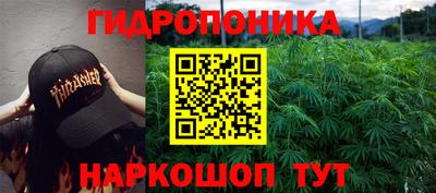эйфоретик Бузулук